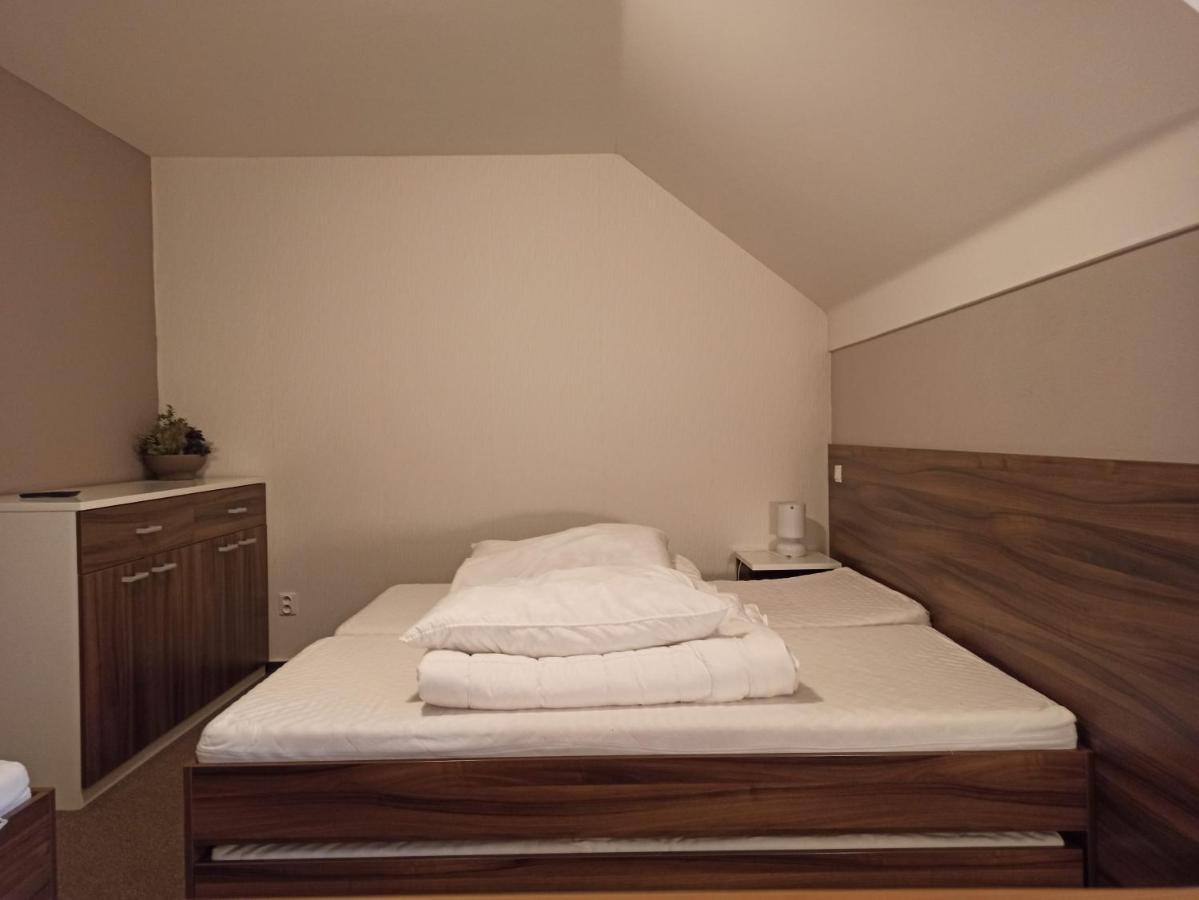 Mezonetovy Apartman Kouty Nad Desnou Apartment โลชนา นาดเด เดสเนา ภายนอก รูปภาพ